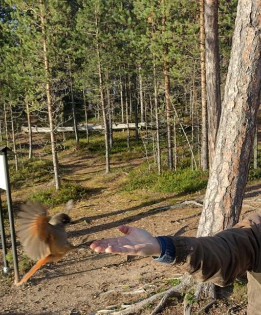 Villa Lusma Inari Esterno foto