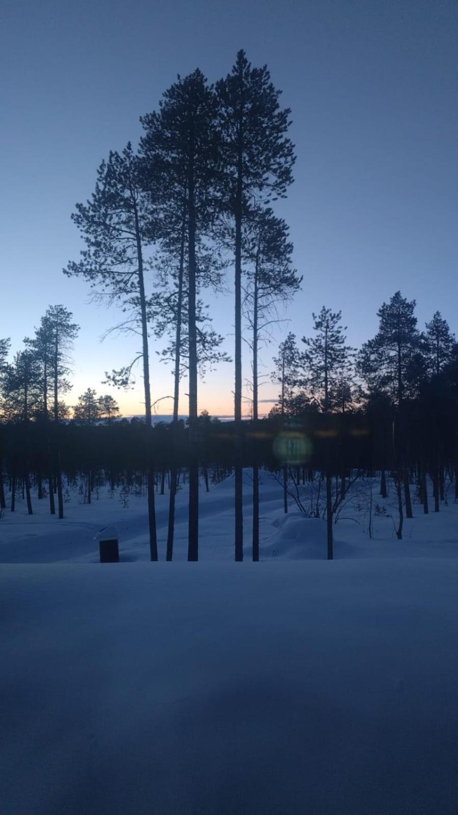 Villa Lusma Inari Esterno foto
